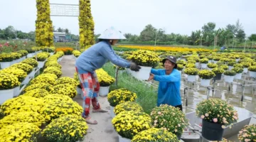 طقس متقلب.. درجات الحرارة ترتفع في كافة المحافظات قبل قدوم موجة برد جديدة